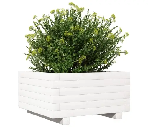 Aia Taimekast, Valge, 50X50X26,5 cm Männipuit