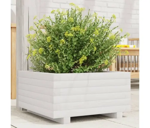 Aia Taimekast, Valge, 50X50X26,5 cm Männipuit