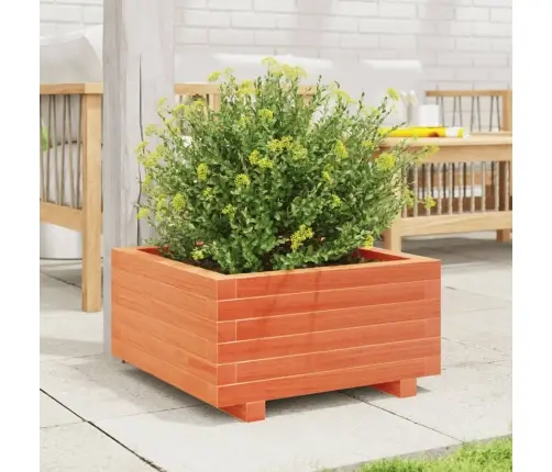 Sodo Lovelis, Vaško Rudas, 50X50X26,5cm Pušies Masyvas