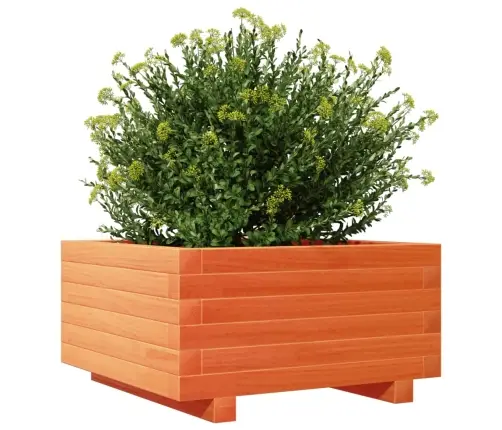 Sodo Lovelis, Vaško Rudas, 50X50X26,5cm Pušies Masyvas