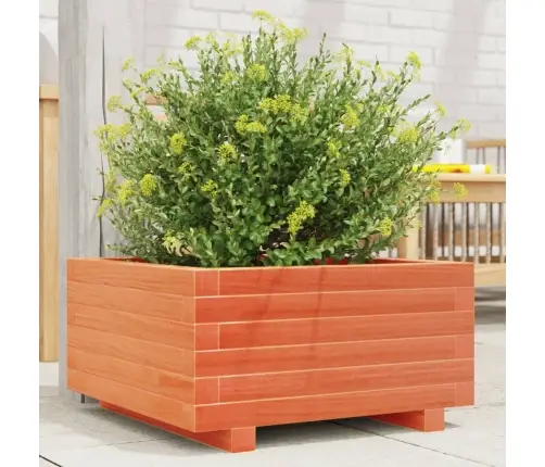 Sodo Lovelis, Vaško Rudas, 50X50X26,5cm Pušies Masyvas