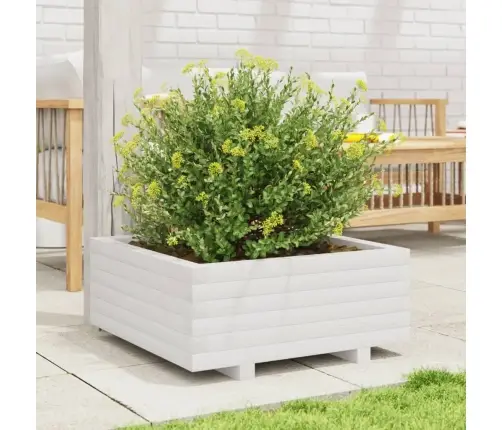Dārza Puķu Kaste, Balta, 60X60X26,5 Cm, Priedes Masīvkoks Vidaxl