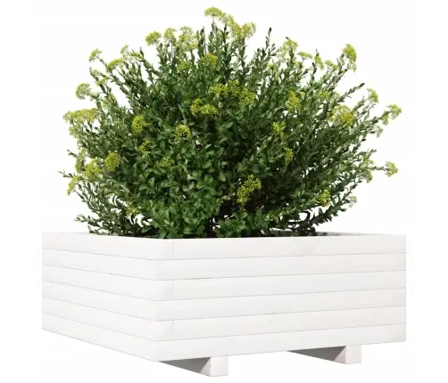 Dārza Puķu Kaste, Balta, 60X60X26,5 Cm, Priedes Masīvkoks Vidaxl