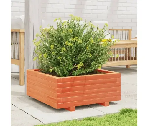 Dārza Puķu Kaste, Vaska Brūnas, 60X60X26,5Cm, Priedes Masīvkoks Vidaxl
