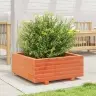 Dārza Puķu Kaste, Vaska Brūnas, 60X60X26,5Cm, Priedes Masīvkoks Vidaxl