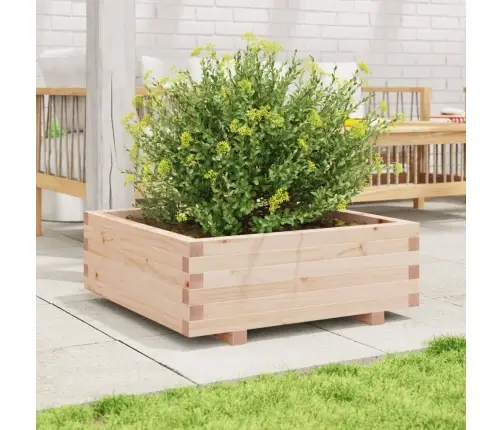 Dārza Puķu Kaste, 70X70X26,5 Cm, Priedes Masīvkoks Vidaxl