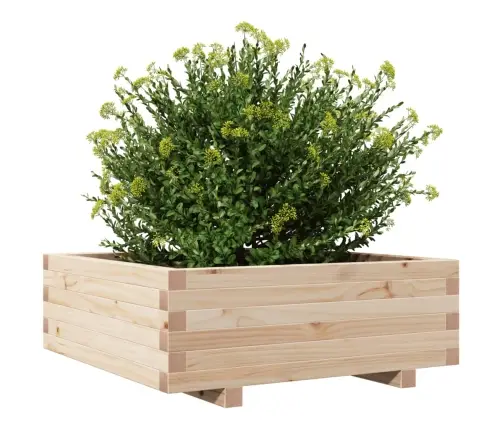 Dārza Puķu Kaste, 70X70X26,5 Cm, Priedes Masīvkoks Vidaxl