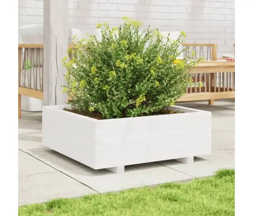 Dārza Puķu Kaste, Balta, 70X70X26,5 Cm, Priedes Masīvkoks Vidaxl