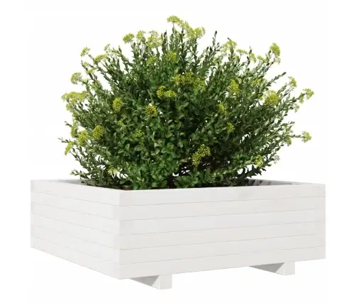 Dārza Puķu Kaste, Balta, 70X70X26,5 Cm, Priedes Masīvkoks Vidaxl