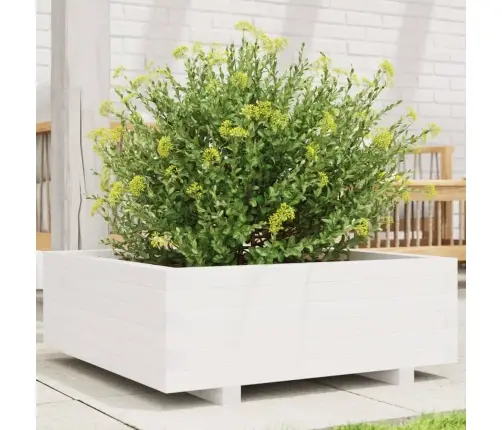 Dārza Puķu Kaste, Balta, 70X70X26,5 Cm, Priedes Masīvkoks Vidaxl