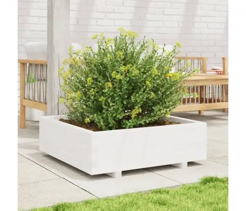 Aia Taimekast, Valge, 80 X 80 X 26,5 cm Männipuit