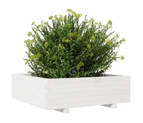 Aia Taimekast, Valge, 80 X 80 X 26,5 cm Männipuit