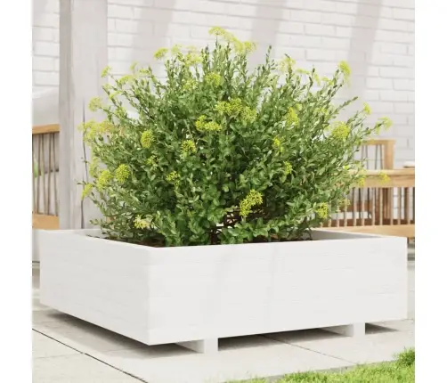 Aia Taimekast, Valge, 80 X 80 X 26,5 cm Männipuit