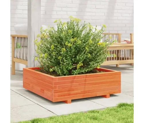 Sodo Lovelis, Vaško Rudas, 80X80X26,5cm Pušies Masyvas