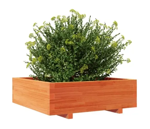 Sodo Lovelis, Vaško Rudas, 80X80X26,5cm Pušies Masyvas