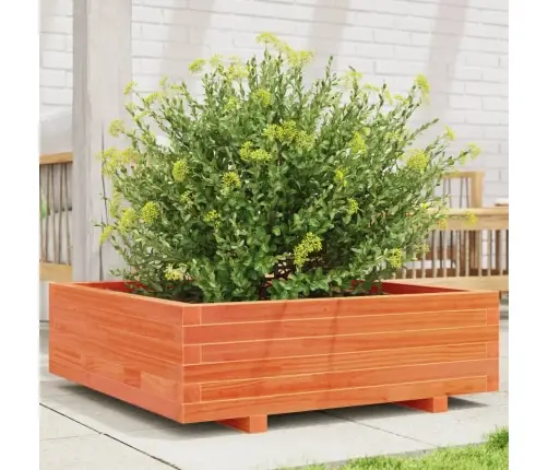 Sodo Lovelis, Vaško Rudas, 80X80X26,5cm Pušies Masyvas