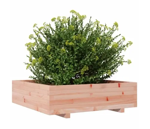 Sodo Lovelis, 90X90X26,5cm Douglas Eglės Medienos Masyvas