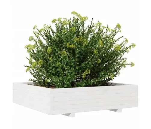 Aia Taimekast, Valge, 100 X 100 X 26,5 cm Männipuit