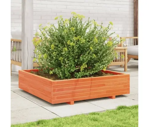 Sodo Lovelis, Vaško Rudas, 100X100X26,5cm Pušies Masyvas