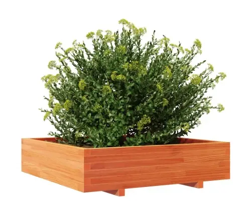 Sodo Lovelis, Vaško Rudas, 100X100X26,5cm Pušies Masyvas