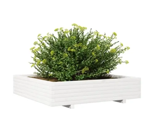 Aia Taimekast, Valge, 110 X 110 X 26,5 cm Männipuit