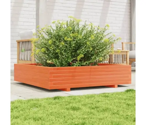 Dārza Puķu Kaste Vaska Brūnas 110X110X26,5 Cm Priedes Masīvkoks Vidaxl