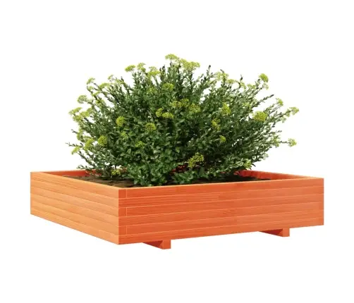 Dārza Puķu Kaste Vaska Brūnas 110X110X26,5 Cm Priedes Masīvkoks Vidaxl