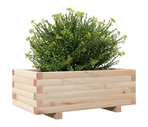 Sodo Lovelis, 70X40X26,5cm Pušies Medienos Masyvas