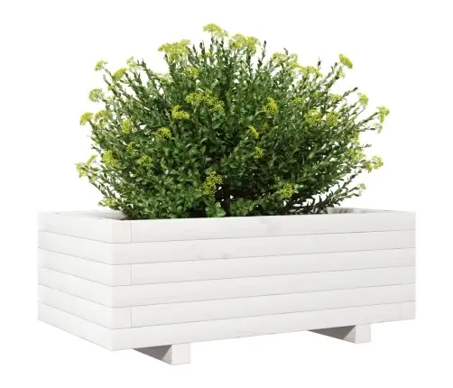 Sodo Lovelis, Baltas, 70X40X26,5cm Pušies Medienos Masyvas