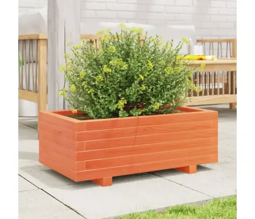 Sodo Lovelis, Vaško Rudas, 70X40X26,5cm Pušies Masyvas