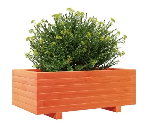 Sodo Lovelis, Vaško Rudas, 70X40X26,5cm Pušies Masyvas