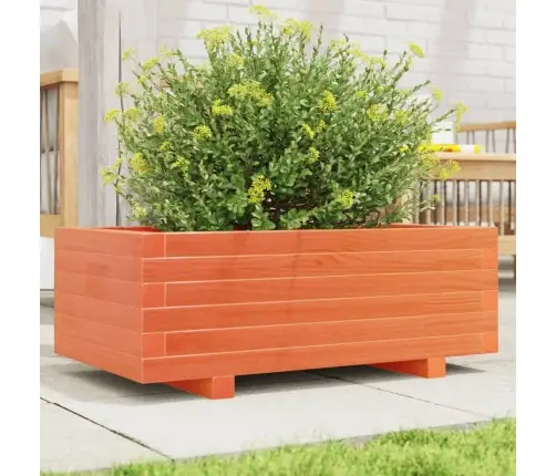 Sodo Lovelis, Vaško Rudas, 70X40X26,5cm Pušies Masyvas