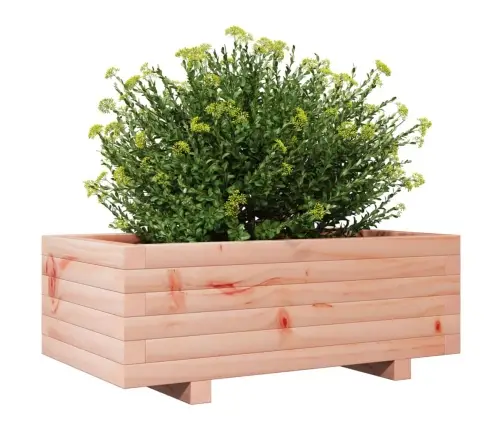 Aia Taimekast, 70 X 40 X 26,5 cm Ebatsuuga Puit