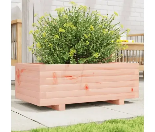 Aia Taimekast, 70 X 40 X 26,5 cm Ebatsuuga Puit