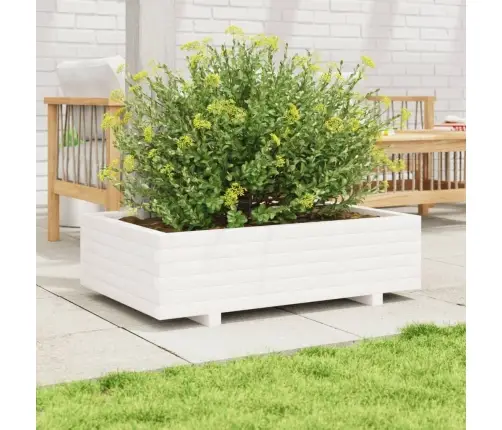 Aia Taimekast, Valge, 90 X 60 X 26,5 cm Männipuit