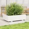 Aia Taimekast, Valge, 90 X 60 X 26,5 cm Männipuit