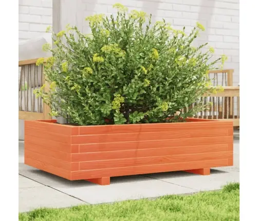 Dārza Puķu Kaste, Vaska Brūnas, 90X60X26,5 Cm Priedes Masīvkoks Vidaxl