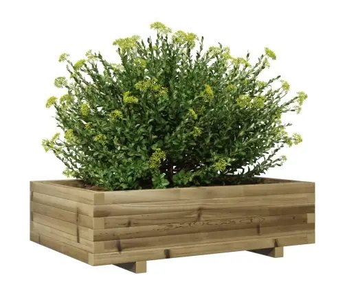 Aia Taimekast, 90 X 60 X 26,5 cm Immutatud Männipuit