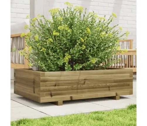 Aia Taimekast, 90 X 60 X 26,5 cm Immutatud Männipuit