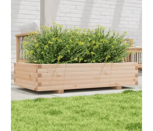 Sodo Lovelis, 110X60X26,5cm Pušies Medienos Masyvas