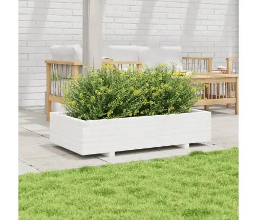 Aia Taimekast, Valge, 110 X 60 X 26,5 cm Männipuit