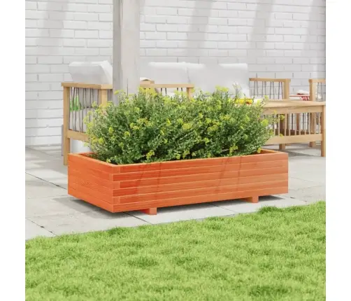 Dārza Puķu Kaste Vaska Brūnas 110X60X26,5 Cm Priedes Masīvkoks Vidaxl