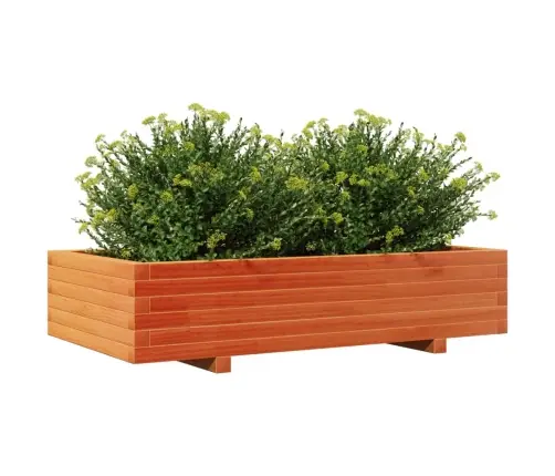 Dārza Puķu Kaste Vaska Brūnas 110X60X26,5 Cm Priedes Masīvkoks Vidaxl