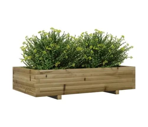 Aia Taimekast, 110 X 60 X 26,5 cm Immutatud Männipuit