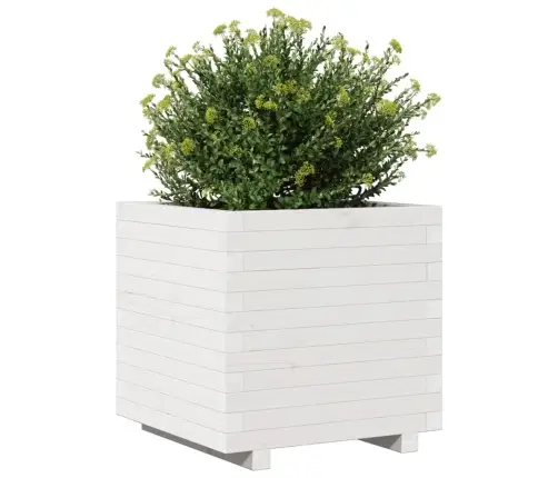 Dārza Puķu Kaste, Balta, 50X50X49,5 Cm, Priedes Masīvkoks Vidaxl