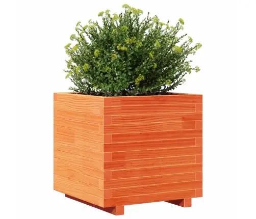 Dārza Puķu Kaste, Vaska Brūnas, 50X50X49,5Cm, Priedes Masīvkoks Vidaxl