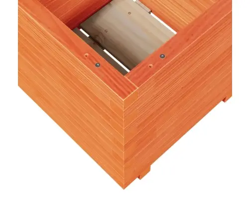 Dārza Puķu Kaste, Vaska Brūnas, 50X50X49,5Cm, Priedes Masīvkoks Vidaxl