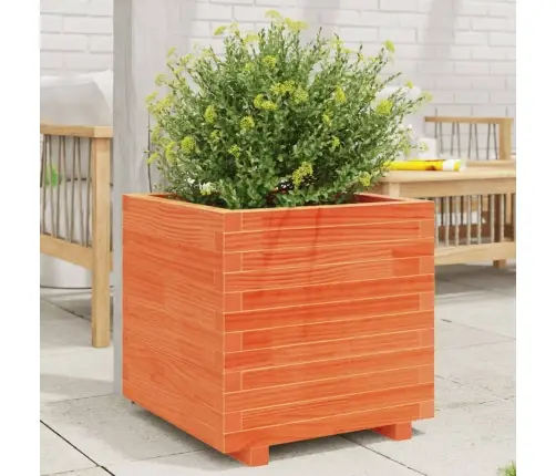Dārza Puķu Kaste, Vaska Brūnas, 50X50X49,5Cm, Priedes Masīvkoks Vidaxl