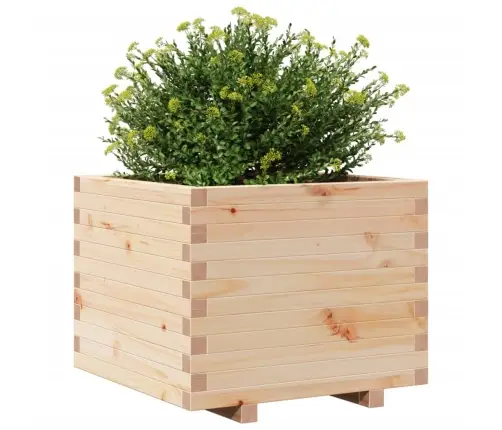 Dārza Puķu Kaste, 60X60X49,5 Cm, Priedes Masīvkoks Vidaxl