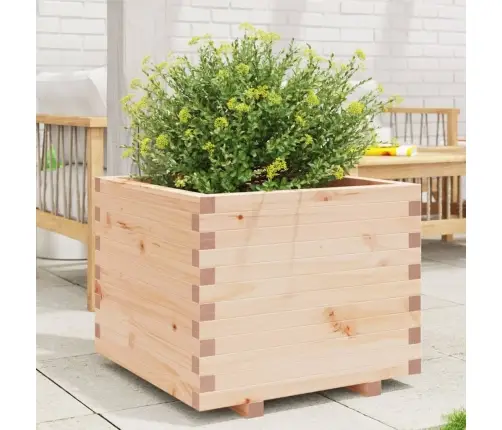 Dārza Puķu Kaste, 60X60X49,5 Cm, Priedes Masīvkoks Vidaxl